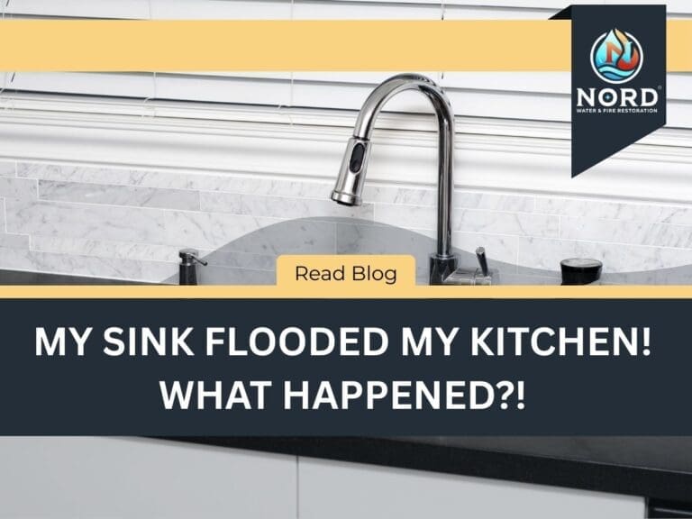 MY SINK FLOODED MY KITCHEN! WHAT HAPPENED!