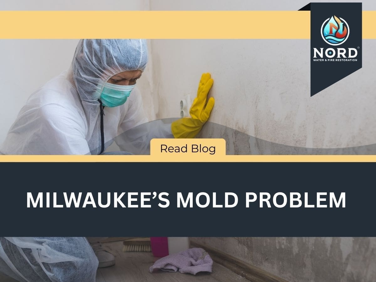 Milwaukee’s Mold Problem: Understanding the Local Factors