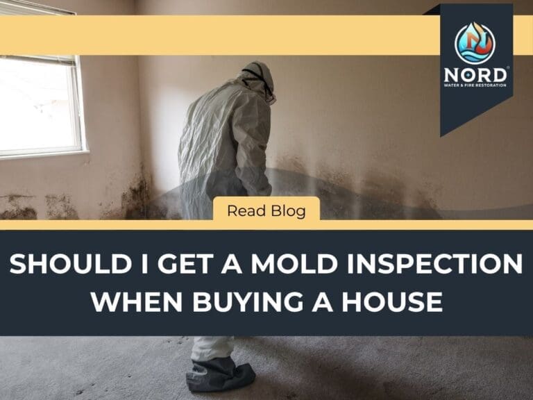 Should I Get a Mold Inspection When Buying a House in Milwaukee?