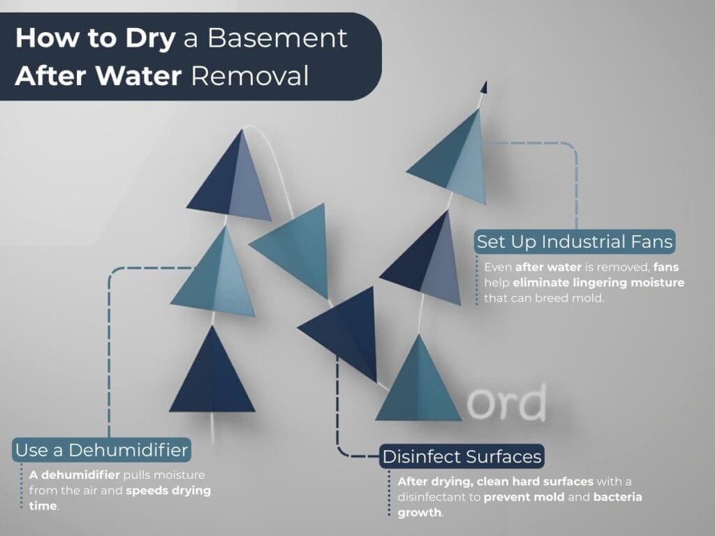 How to Dry a Basement After Water Removal for Water Removal From Basement: Best Methods