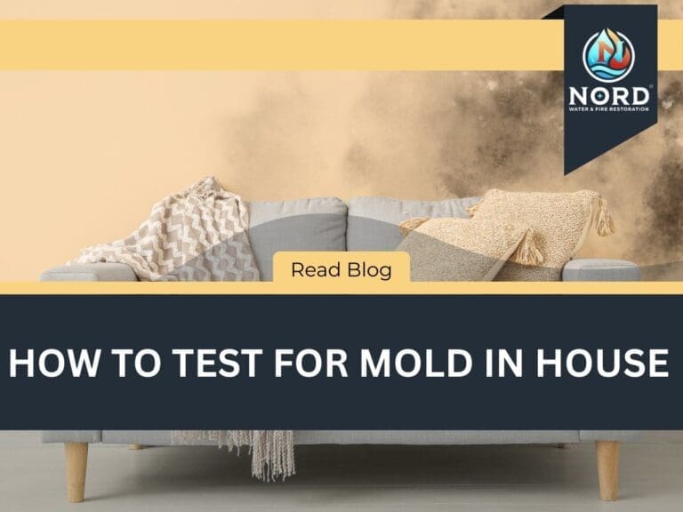 How to Test for Mold in House