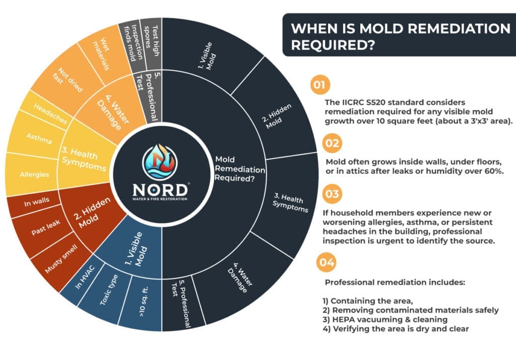 An infographic breaking down when mold remediation is required for the article, When Is Mold Remediation Required?