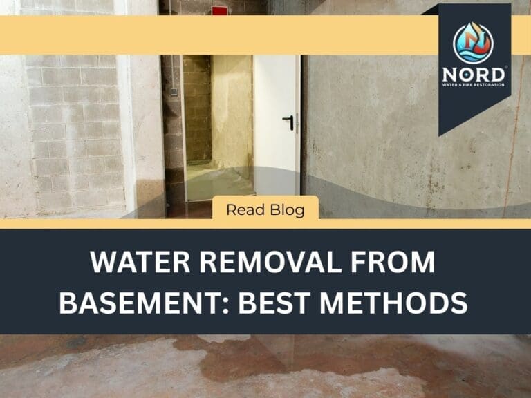 Water Removal From Basement: Best Methods