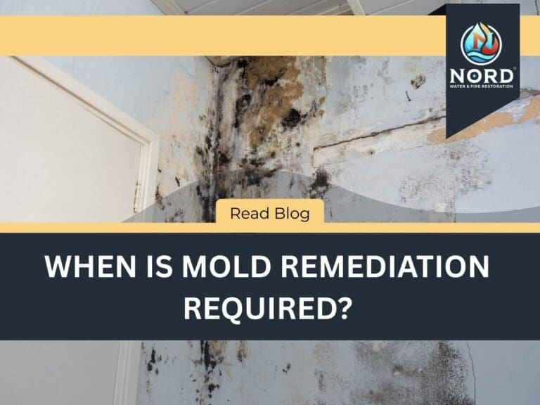 When Is Mold Remediation Required?