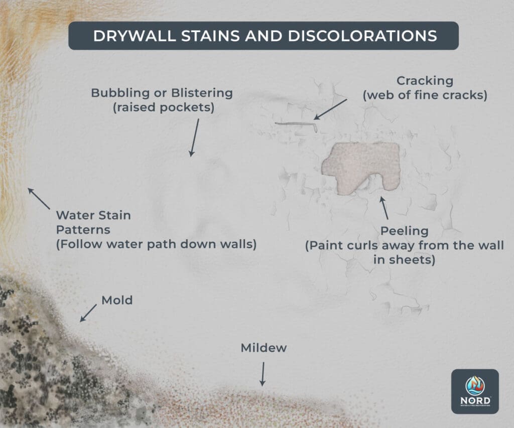 DRYWALL STAINS AND DISCOLORATIONS
