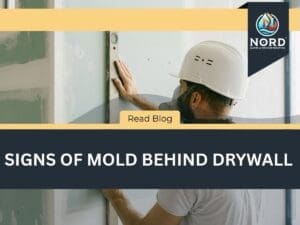 Signs of Mold Behind Drywall