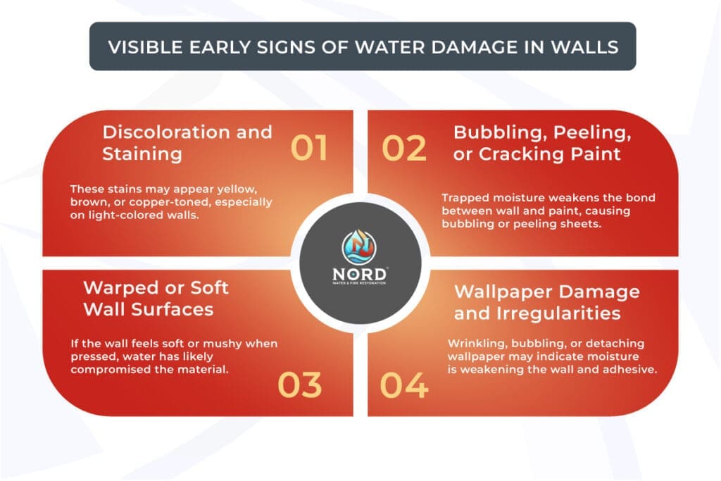An infographic on Visible early signs of water damage for the article Early Signs of Water Damage in Walls